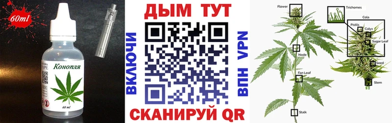 продажа наркотиков  Балашов  кракен рабочий сайт  Cannafood марихуана 
