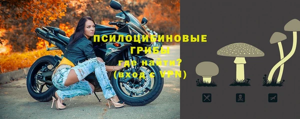 герыч Алексин