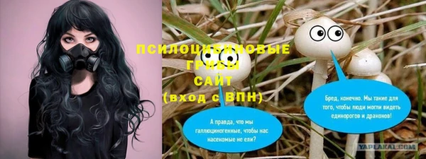 герыч Алексин