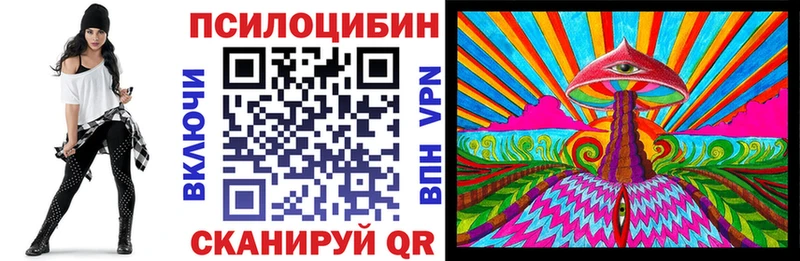 купить наркоту  Балашов  Галлюциногенные грибы Cubensis 