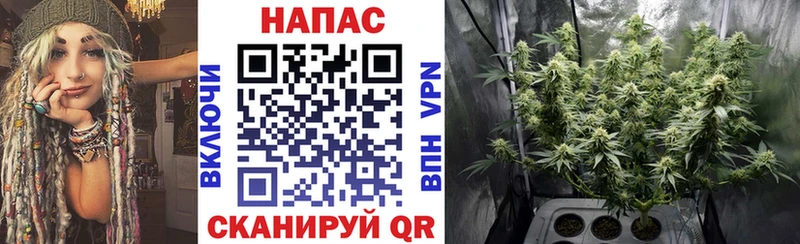 omg ссылка  Балашов  Бошки марихуана тримм 